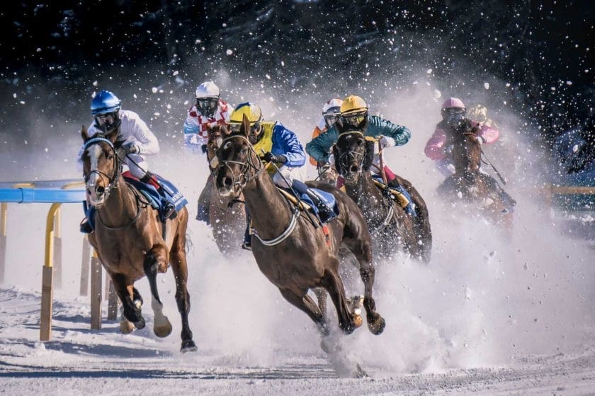 chevaux